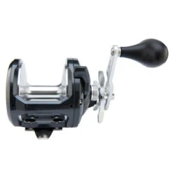 Shimano Torium Star Drag Conventional Reels -Daiwa Store 1777b941310359dcf5aa2753c57c3195391653e3
