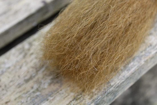 Yak Hair 13 Yak Hair - Image 11