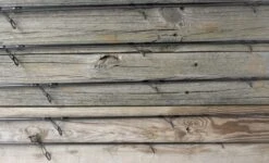 ODM Genesis Surf Rods -Daiwa Store 2021 Genesis TopSection edited