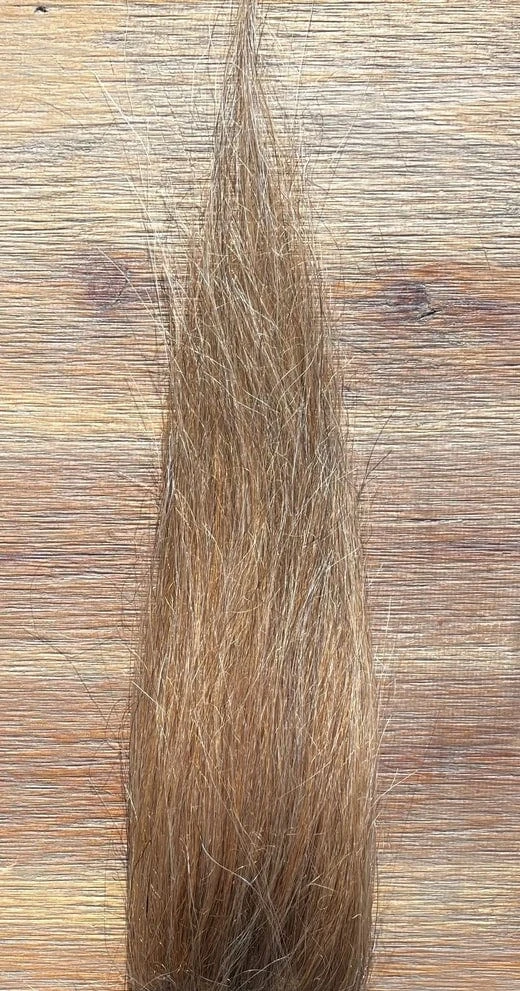 Squimpish Hair 4 Squimpish Hair - Image 2