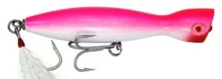Super Strike Heavy Little Neck Poppers -Daiwa Store 5O6 ajO9