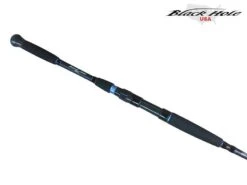 Black Hole USA Suzuki Special Inshore Spinning Rods -Daiwa Store 5a0c85 de1dc194292240bea4d4f1e3d7f206ac mv2 d 4032 3024 s 4 2