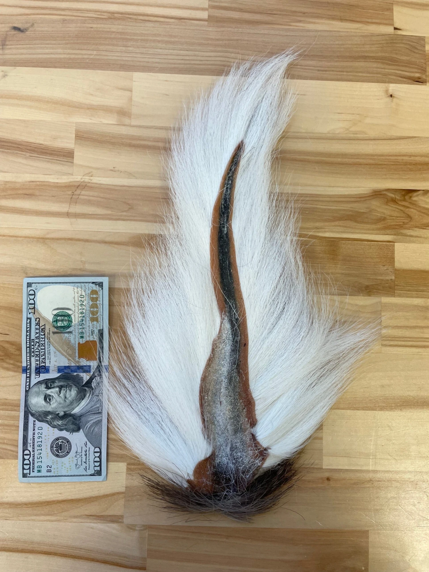 Saltwater Edge Premium Bucktails 3 Saltwater Edge Premium Bucktails