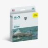RIO Coldwater Maintstream Striper Fly Line -Daiwa Store SW Mainstream Striper render a7240482 6f25 4762 b863 4ea17ab089f6