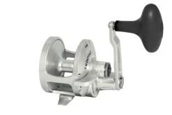 Accurate Boss Valiant Conventional Reels -Daiwa Store bv 600n b31d3e47 389a 429f a61c 54a8643d703d jpg