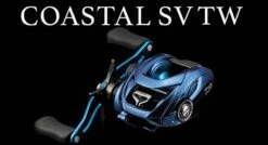 Daiwa Coastal TWS Casting Reel