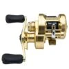 Shimano Calcutta Conquest A Casting Reel 2 Shimano Calcutta Conquest A Casting Reel -Daiwa Store ef895aa63d23fd94b3a6eb5f74cde5d4101fe519