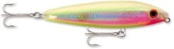 Rapala Saltwater Skitter Walk -Daiwa Store hgbn
