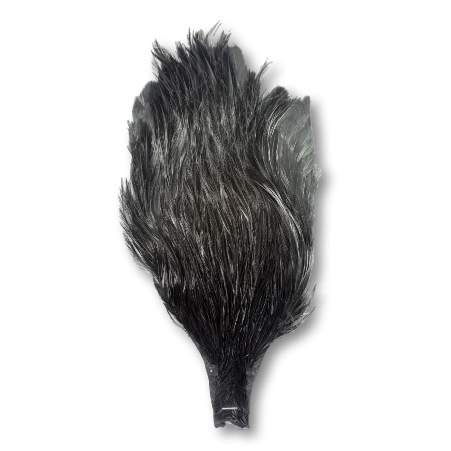 Saltwater Capes 4 Saltwater Capes - Image 2